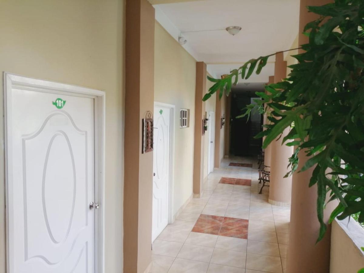 Hotel Plaza Floresta 산 미구엘 외부 사진